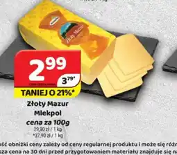 Delfin Złoty Mazur Mlekpol oferta