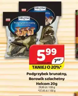 Delfin Podgrzybek brunatny, Borowik szlachetny Helcom oferta