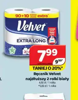 Delfin Ręcznik Velvet oferta