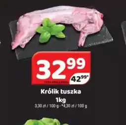 Delfin Królik tuszka oferta