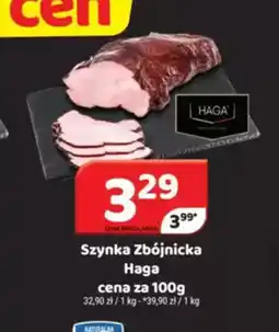 Delfin Szninka zbójnicka Haga oferta