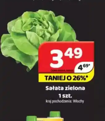 Delfin Sałata zielona oferta