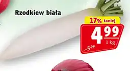 Prim Market Rzodkiew biała oferta