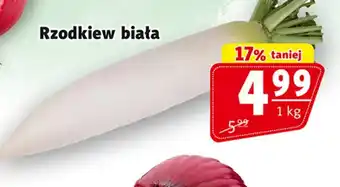 Prim Market Rzodkiew biała oferta