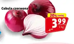 Prim Market Cebula czerwona oferta