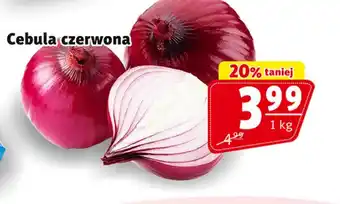 Prim Market Cebula czerwona oferta