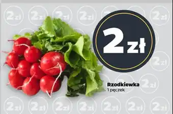 Netto Rzodkiewka oferta