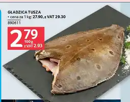 Gładzica Tusz