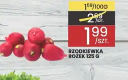 Wafelek Rzodkiewka oferta