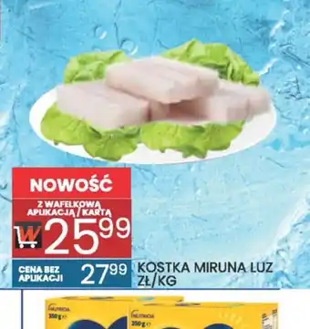 Wafelek Kostka Miruna Luź oferta