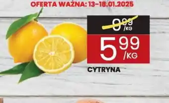 Wafelek Cytryna oferta