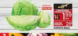 Wafelek Kapusta biała oferta