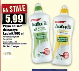 Topaz Płyn/balsam do naczyń Ludwik oferta