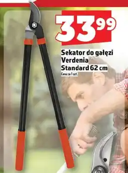 Sekator do gałęzi Verdenia Standard