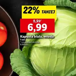 Lidl Kapusta biała młoda oferta