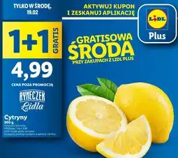 Lidl Cytryny oferta