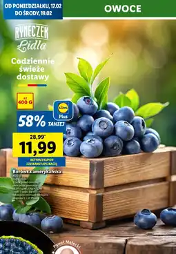 Lidl Borówki amerykańskie oferta