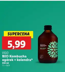 Kombucha z ogórkiem i kolendrą Vigo