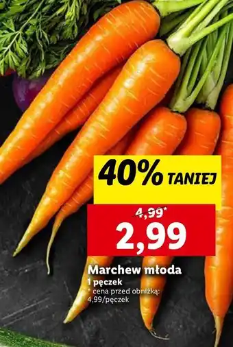 Lidl Marchew młoda oferta