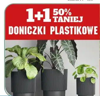 E.Leclerc Doniczka plastikowa oferta