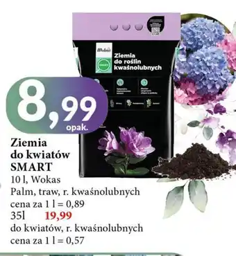 E.Leclerc Ziemia do kwiatów kwaśnolubnych Wokas oferta