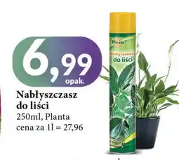 E.Leclerc Nabłyszczacz do liści Planta (Ogrodowe) oferta