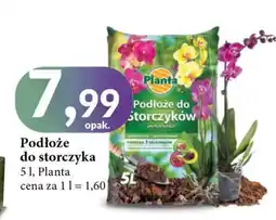 E.Leclerc Podłoże do storczyka Planta (Ogrodowe) oferta