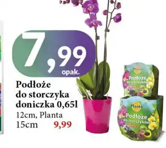 E.Leclerc Podłoże do storczyków Planta (Ogrodowe) oferta