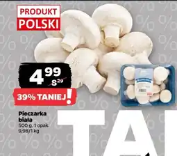 Netto Pieczarki białe Z Zieleniaka Netto oferta