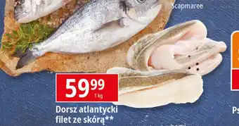 E.Leclerc Dorsz atlantycki - filety ze skórą oferta