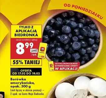 Biedronka Borówki amerykańskie oferta