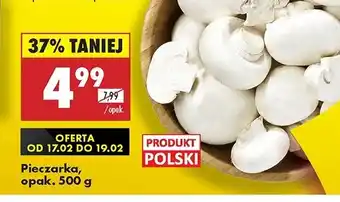 Biedronka Pieczarki oferta