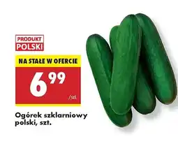 Biedronka Ogórek szklarniowy oferta