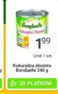 Stokrotka Kukurydza złocista Bonduelle oferta