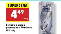 Biedronka Dorada patroszona świeża Marinero oferta