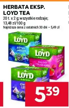 Stokrotka Herbata jeżyny i jagody Loyd tea the magic experience oferta