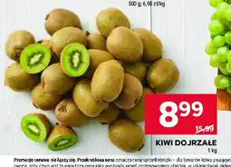 Stokrotka Kiwi oferta