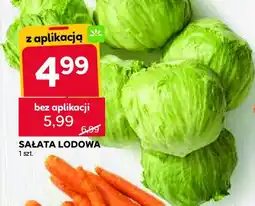 Stokrotka Sałata lodowa oferta