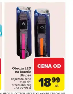 Carrefour Obroża dla psa oferta