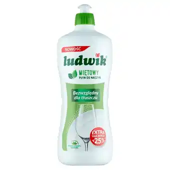 Delikatesy Centrum Ludwik Płyn do naczyń miętowy 900 g oferta