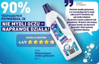 ALDI Mydło odplamiające galasowe Tandil oferta