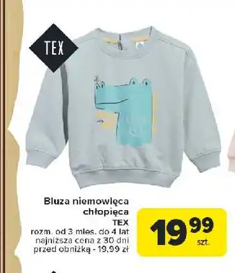 Carrefour Bluza niemowlęca chłopięca 3 mies - 4 lat Tex oferta