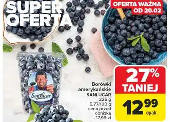 Carrefour Borówki Sanlucar oferta