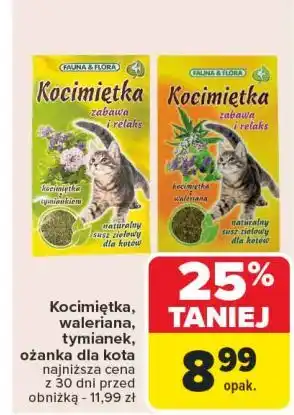 Carrefour Kocimiętka Fauna & Flora oferta