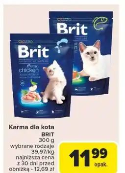 Carrefour Karma dla kota łosoś Brit Premium oferta