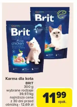 Carrefour Karma dla kota łosoś Brit Premium oferta