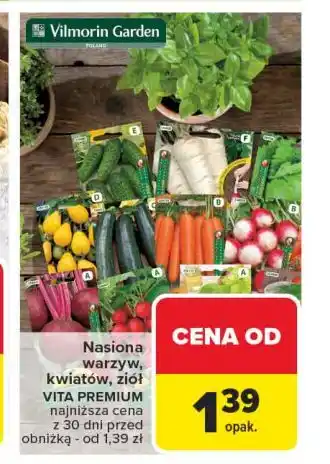 Carrefour Burak ćwikłowy Vilmorin Garden oferta