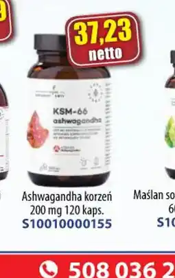 AT Ashwagandha korzeń oferta