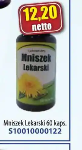 AT Mniszek Lekarski oferta