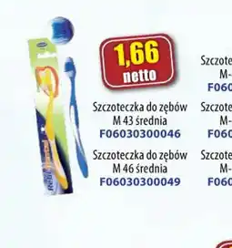 AT Szczoteczka do zębów oferta